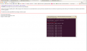 Screenshot of Node.js running Web Socket Server on Ubuntu